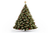 Christmas tree christmas plant pine. AI generated Image by rawpixel.