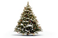 Christmas tree christmas plant white. AI generated Image by rawpixel.