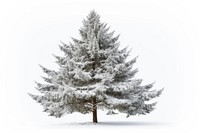 Winter tree pine outdoors. AI generated Image by rawpixel.