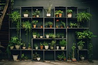Garden nature plant architecture. AI generated Image by rawpixel.