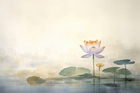 Impression lotus pond flower plant lily. 