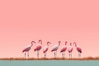 Flock of flamingos animal bird spoonbill. AI generated Image by rawpixel.