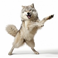 Happy smiling dancing wolf mammal animal pet. AI generated Image by rawpixel.