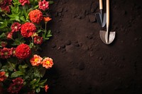 Plant tool gardening outdoors. AI generated Image by rawpixel.