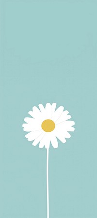 White daisy flower pattern plant inflorescence. AI generated Image by rawpixel.