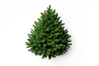 A mini christmas tree plant fir white background. AI generated Image by rawpixel.