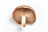 A mushroom white background cut out amanita. AI generated Image by rawpixel.