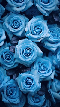 Blue aesthetic wallpaper flower plant rose. AI generated Image by rawpixel.