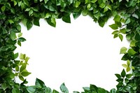 Green leaves backgrounds plant leaf. AI generated Image by rawpixel.