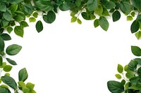 Green leaves backgrounds plant herbs. AI generated Image by rawpixel.