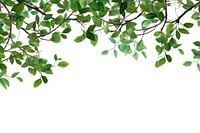 Green leaf tree backgrounds. AI generated Image by rawpixel.