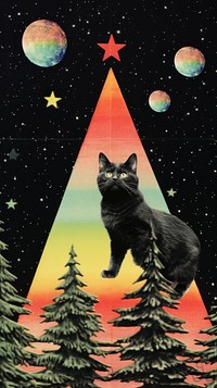 Cats dance around christmas tree astronomy nature mammal. 