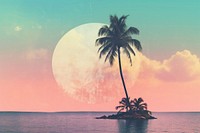 Beach tree astronomy outdoors. AI generated Image by rawpixel.