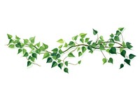 Ivy plant leaf white background. AI generated Image by rawpixel.