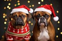 Boxer dog christmas bulldog. AI generated Image by rawpixel.