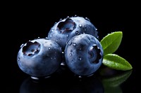 Blue berry fruit blueberry plant. AI generated Image by rawpixel.