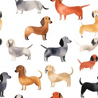 Dachshund animal backgrounds dachshund. 