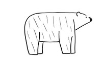 Minimal illustration of polar bear drawing sketch mammal. 