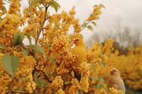 Bird outdoors blossom nature. AI generated Image by rawpixel.