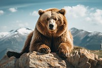 Bear wildlife mountain mammal. AI generated Image by rawpixel.