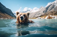 Bear landscape wildlife mountain. AI generated Image by rawpixel.