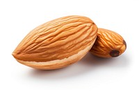 Almond plant food nut. AI generated Image by rawpixel.