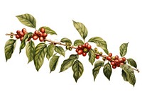 Coffee plant vintage cherry leaf. AI generated Image by rawpixel.