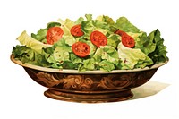 Vintage Salad vegetable lettuce. AI generated Image by rawpixel.