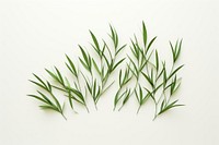 Grass plant herbs leaf. AI generated Image by rawpixel.