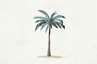 Palm tree plant arecaceae tropics. AI generated Image by rawpixel.