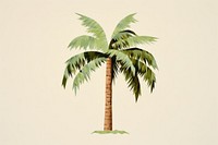 Palm tree plant leaf arecaceae. AI generated Image by rawpixel.