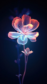 Futuristic flower light petal. AI generated Image by rawpixel.
