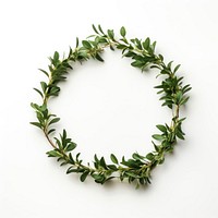 Christmas wreath jewelry plant leaf. AI generated Image by rawpixel.