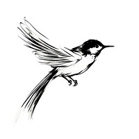 Bird drawing animal sketch. AI generated Image by rawpixel.