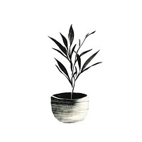 Indoor plant vase leaf white background. AI generated Image by rawpixel.