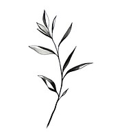Indoor plant drawing sketch herbs. AI generated Image by rawpixel.