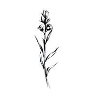 Lavender flower drawing sketch plant. AI generated Image by rawpixel.