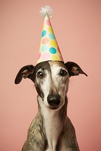 Greyhound dog wearing birthday hat. AI generated Image by rawpixel.