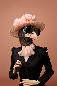 Bird wearing fancy hat. 