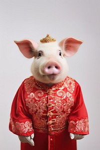 Pig wearing Chinese robe. AI generated Image by rawpixel.