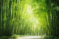 Bamboo outdoors nature forest. AI generated Image by rawpixel.