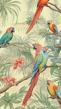 Backgrounds outdoors parrot animal. AI generated Image by rawpixel.