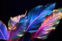 Banana leaves pattern purple light. AI generated Image by rawpixel.