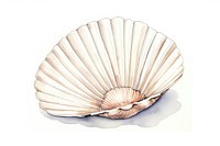 Cockle seafood seashell sketch clam. AI generated Image by rawpixel.