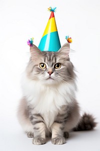 Cat celebrating birthday mammal animal. AI generated Image by rawpixel.