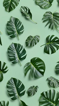 Monstera leaf backgrounds pattern plant. AI generated Image by rawpixel.