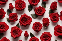 Red rose backgrounds flower petal. AI generated Image by rawpixel.