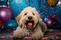 Labradoodle confetti dog birthday. AI generated Image by rawpixel.