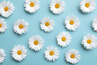 White daisy flowers backgrounds petal plant. AI generated Image by rawpixel.