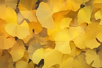 Ginkgo pattern backgrounds petal plant. AI generated Image by rawpixel.